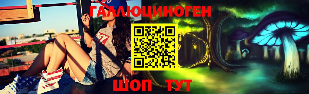 Псилоцибиновые грибы Psilocybe  купить наркотики сайты  Алапаевск  Вход с VPN  Галлюциногенные грибы прущие грибы 