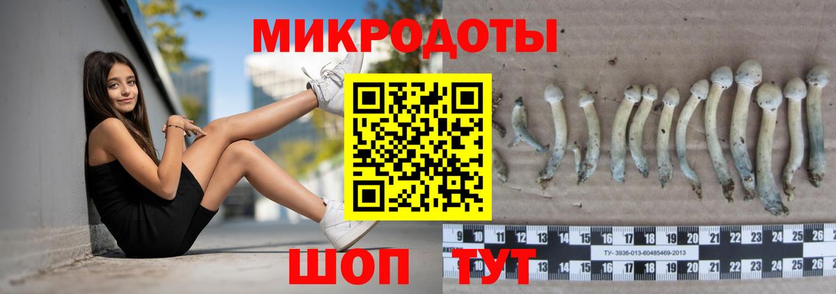 Псилоцибиновые грибы GOLDEN TEACHER Алапаевск